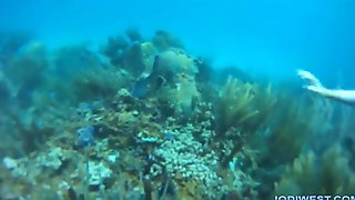 bottle,underwater